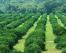 Veca Produce Empresa