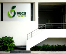 Veca Produce Oficinas