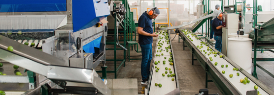 Veca Produce Company