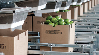 Veca Produce Company